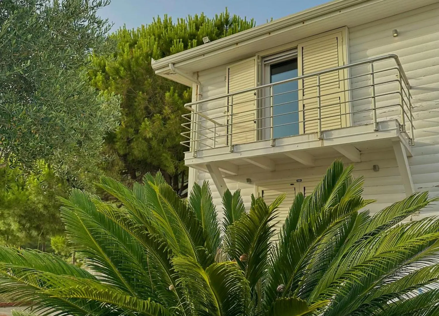 Vila Mare Nostrum Hotel Shengjin