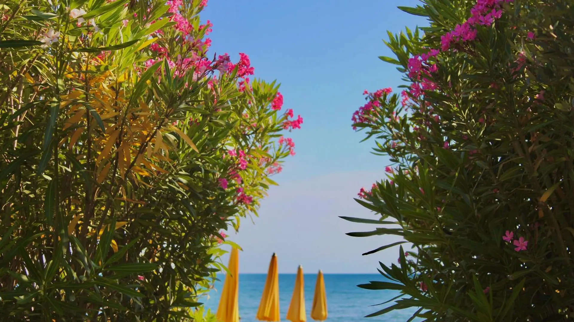 Vila Mare Nostrum Hotel Shengjin